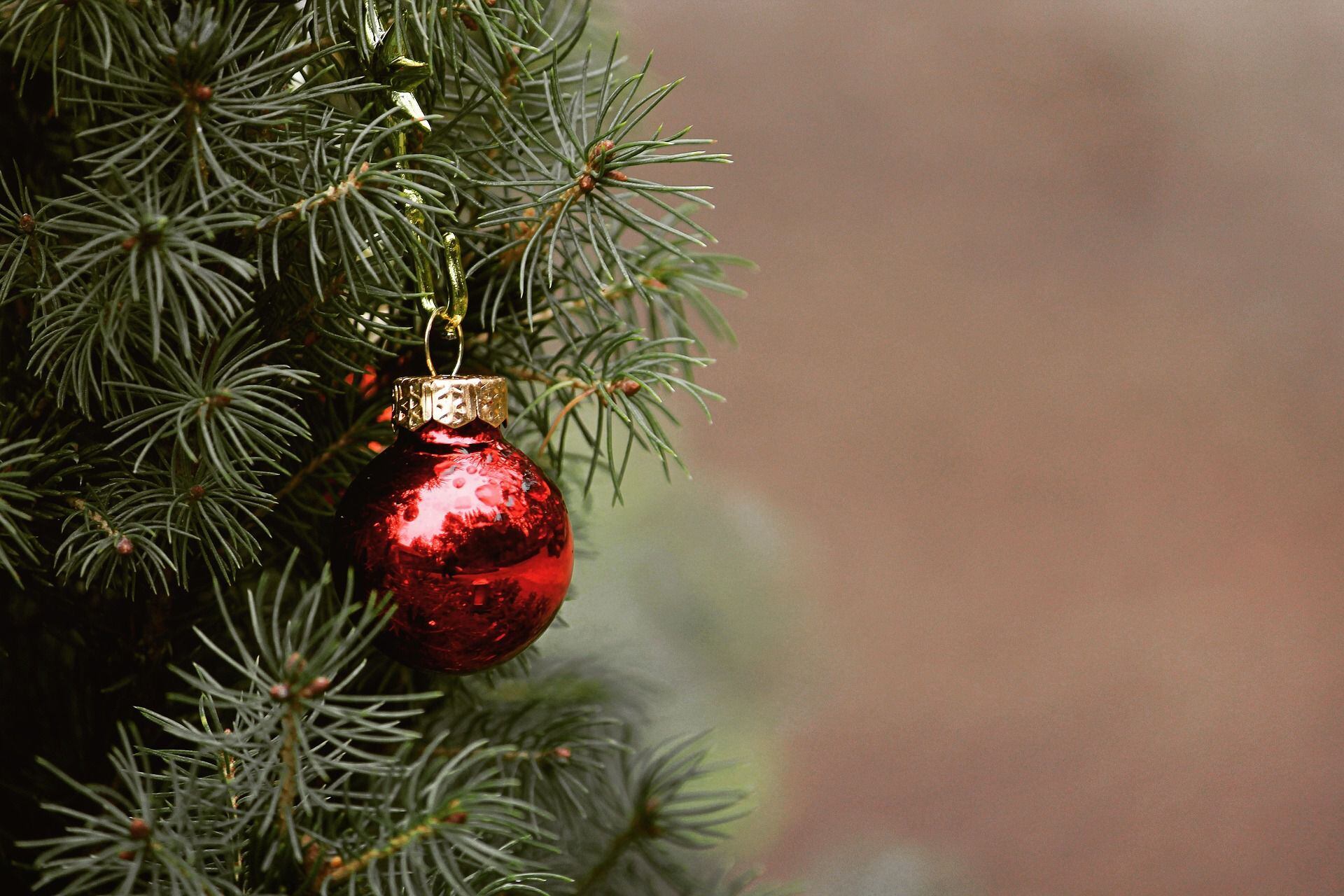 Historia del árbol de Navidad