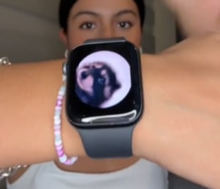 Pedro mapache para Apple Watch