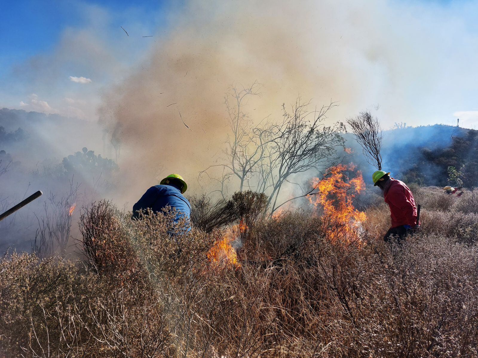 Incendio forestal en Hidalgo
