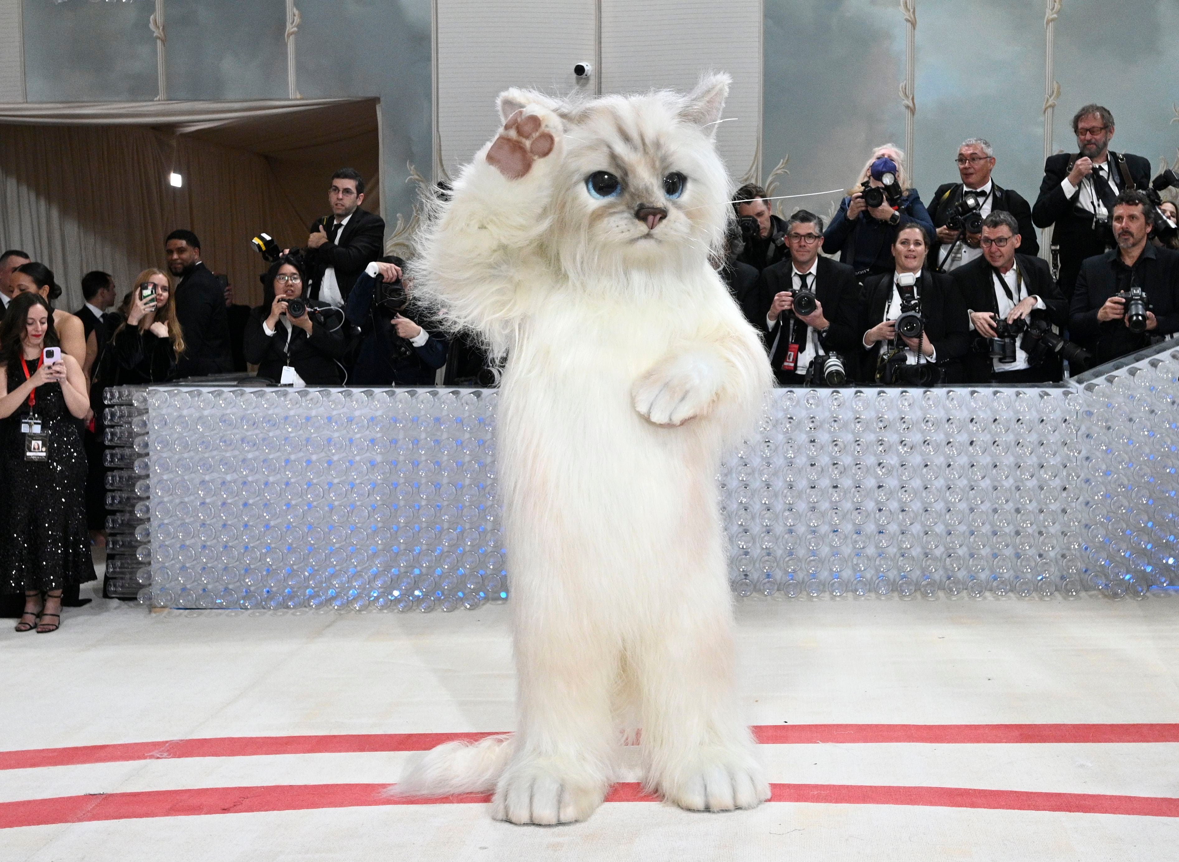 Jared Leto en la MET Gala 2023 disfrazado como gato