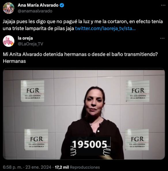 Ana María Alvarado se vuelve meme por 