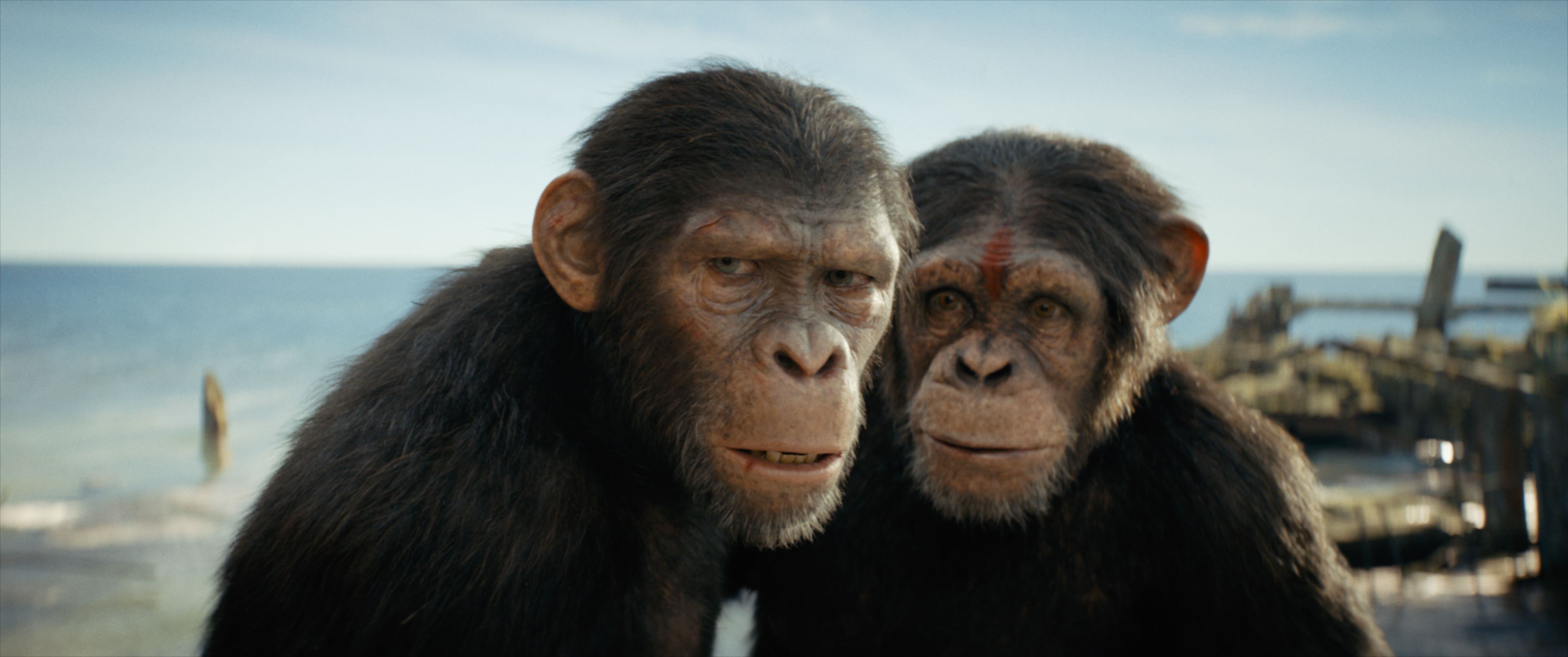 (L-R) Noa (played by Owen Teague) and Dar (played by Sara Wiseman) in 20th Century Studios' KINGDOM OF THE PLANET OF THE APES. Photo courtesy of 20th Century Studios. © 2024 20th Century Studios. All Rights Reserved.
