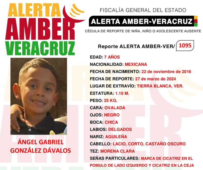 Ficha de búsqueda de Ángel Gabriel González Dávalos