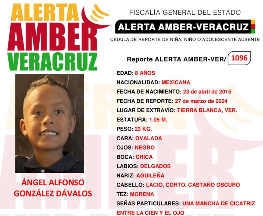 Ficha de búsqueda de Ángel Alfonso González Dávalos