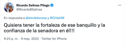 Ricardo Salinas Pliego critica a la Senadora Citlalli Hernández por su físico@RicardoBSalinas