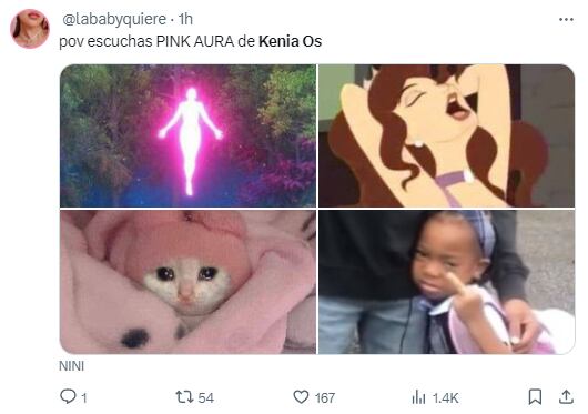 Memes por Pink Aura de Kenia Os