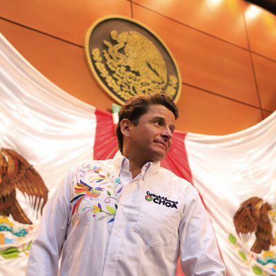 ¿Quién es Cuauhtémoc Ochoa? El diputado elegido por Morena  a la Cámara de Senadores