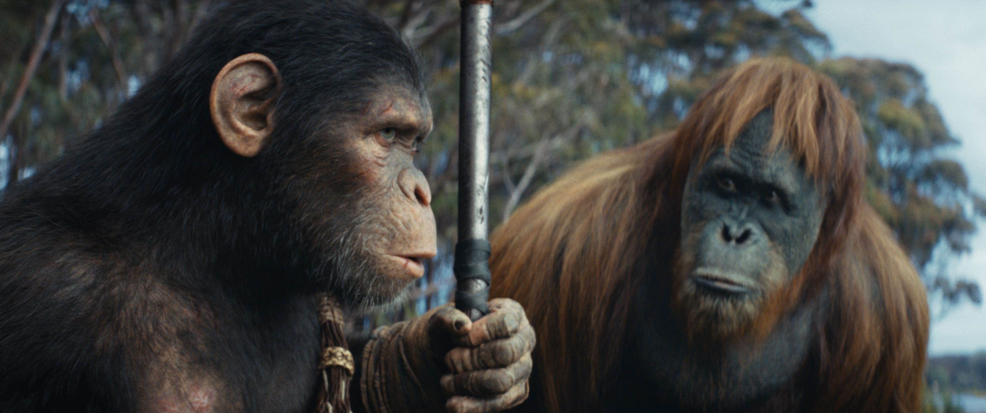 (L-R): Noa (played by Owen Teague) and Raka (played by Peter Macon) in 20th Century Studios' KINGDOM OF THE PLANET OF THE APES. Photo courtesy of 20th Century Studios. © 2024 20th Century Studios. All Rights Reserved.