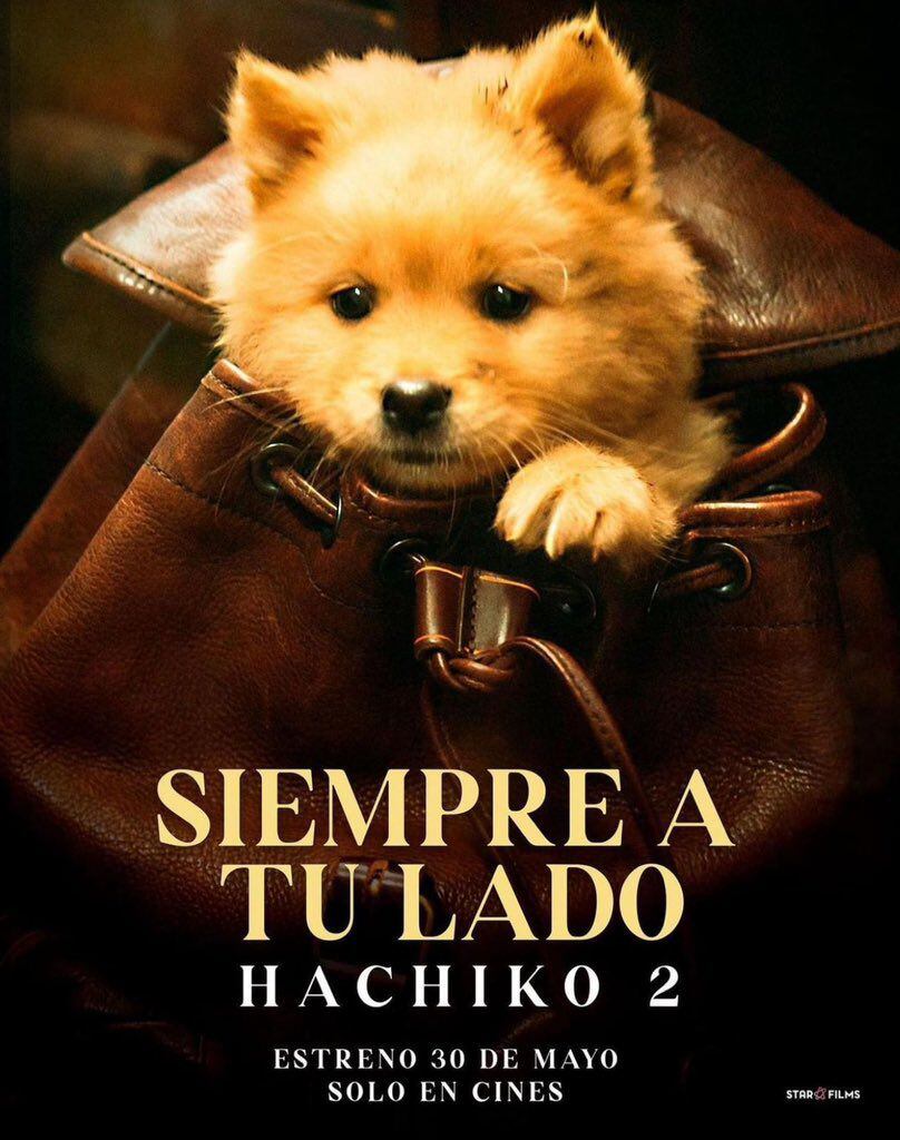 ¿Cuándo se estrena Hachiko 2? Siempre a tu lado ya tiene fecha de estreno en México
